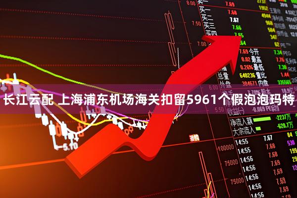 长江云配 上海浦东机场海关扣留5961个假泡泡玛特