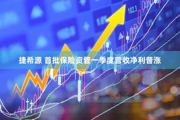 捷希源 首批保险资管一季度营收净利普涨