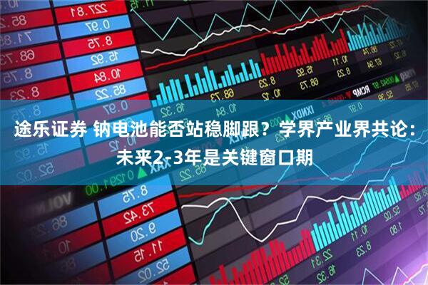 途乐证券 钠电池能否站稳脚跟？学界产业界共论：未来2-3年是关键窗口期