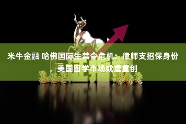米牛金融 哈佛国际生禁令危机：律师支招保身份，美国留学市场或遭重创