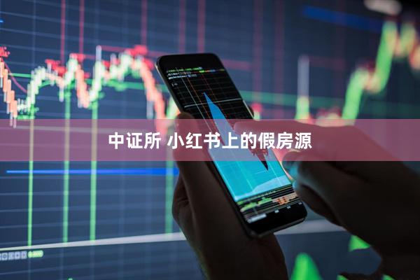 中证所 小红书上的假房源